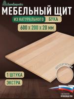 Мебельный щит бук кат. Экстра цельный  600 х 200 х 20