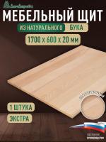 Мебельный щит бук кат. Экстра цельный 1700 х 600 х 20